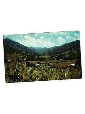 Maggie Valley Western NC Vintage Postcard Burley Tobacco Balsam Mountains 1971